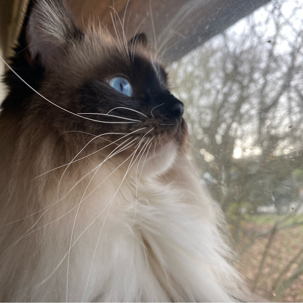 Meet your Posher, Cassidy